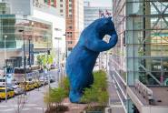 Convention Center Bear